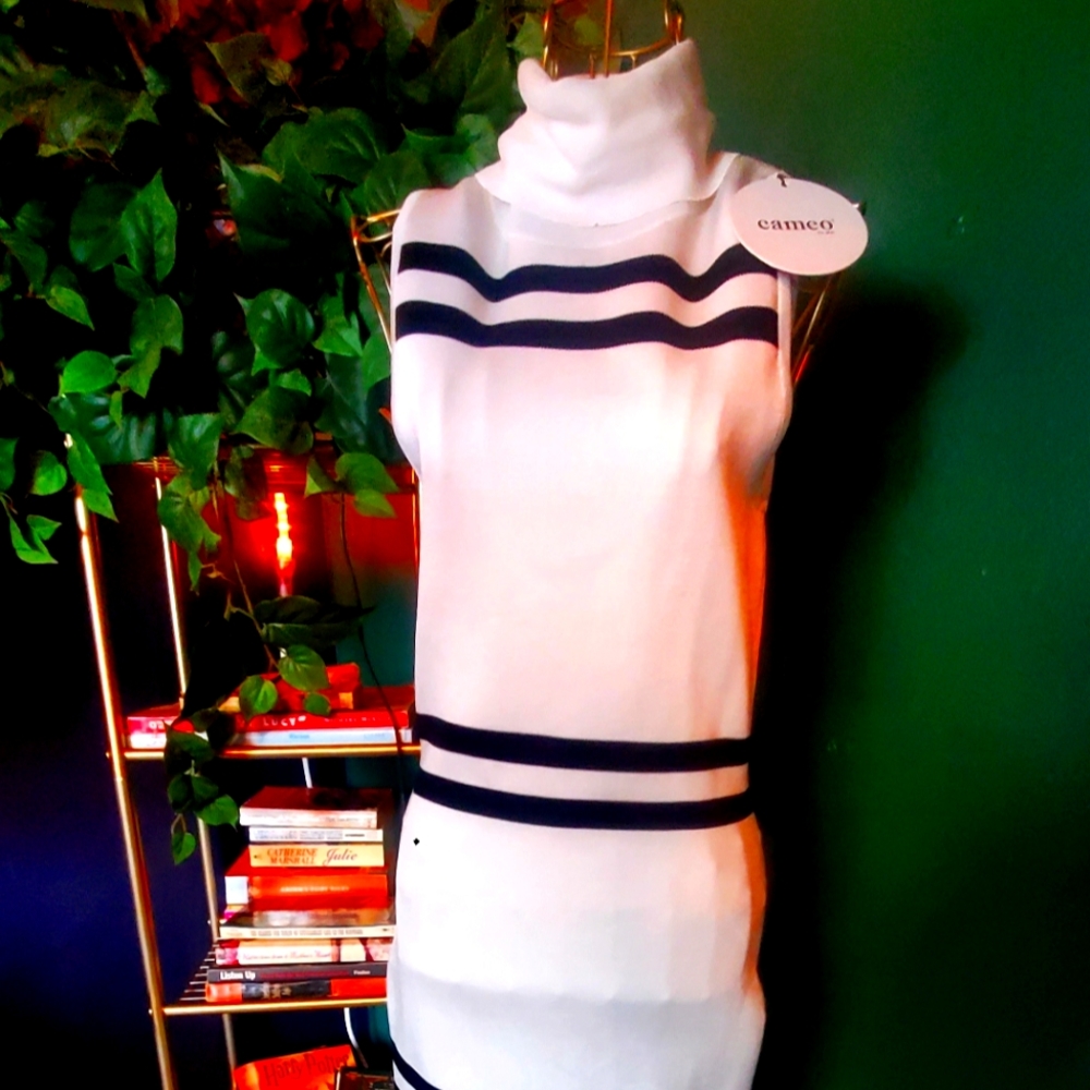 NWT 🔥 Cameo Dress